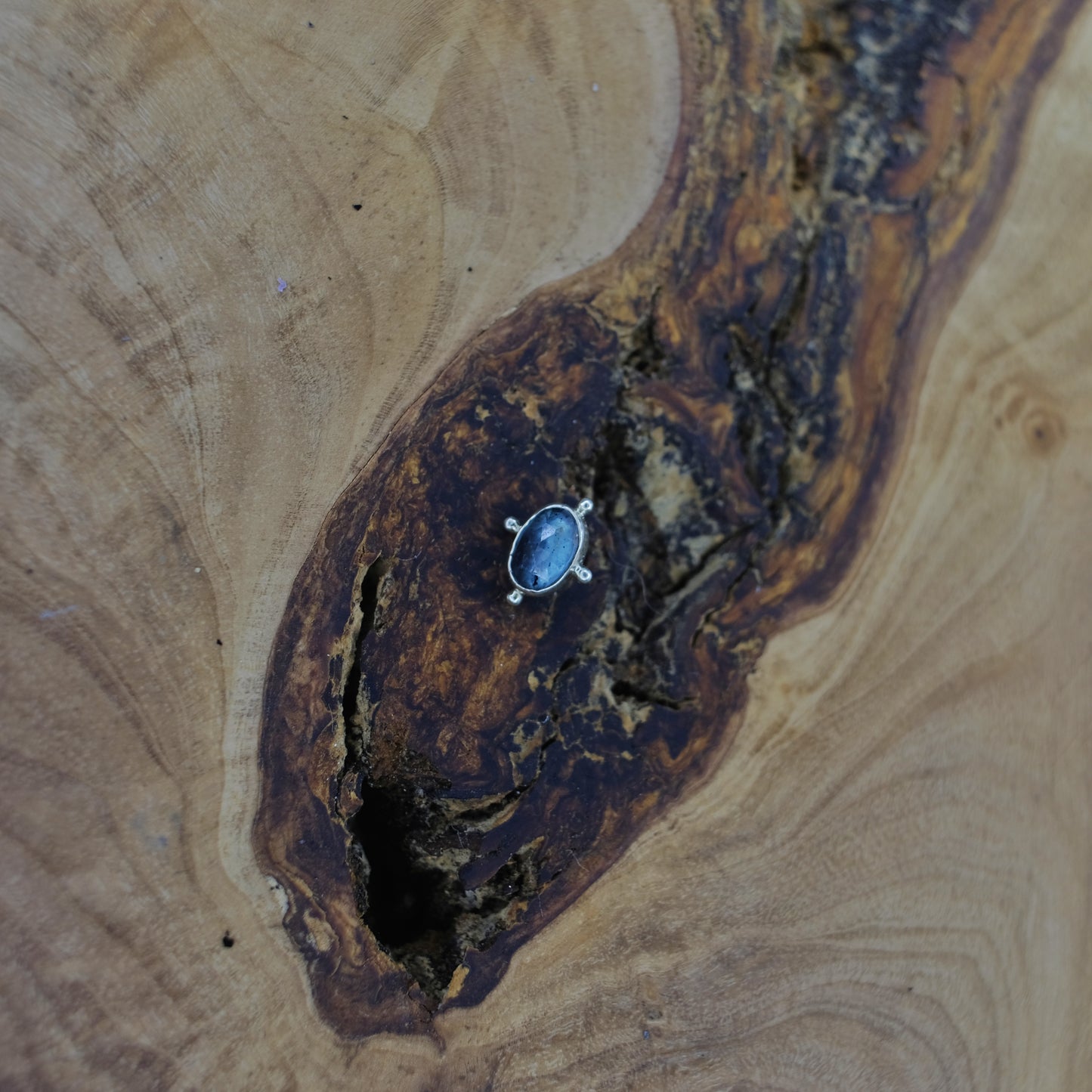 9ct white gold kyanite - 14g threaded.